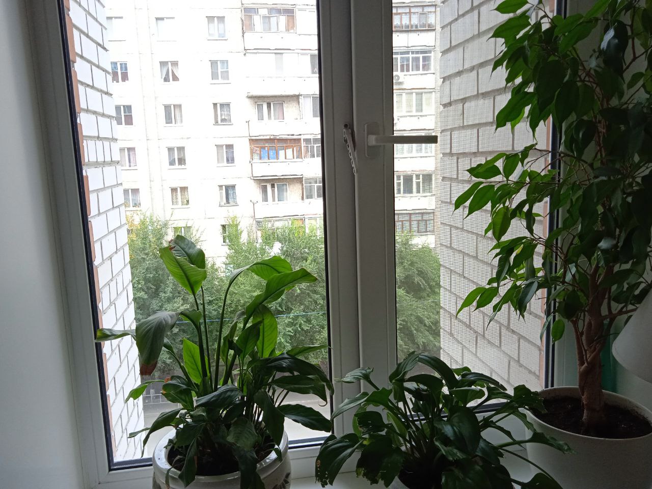 https://nizhnijtagil.delaem-okna.ru/storage/app/uploads/public/63f/332/8c0/63f3328c0d6f7867060515.jpg